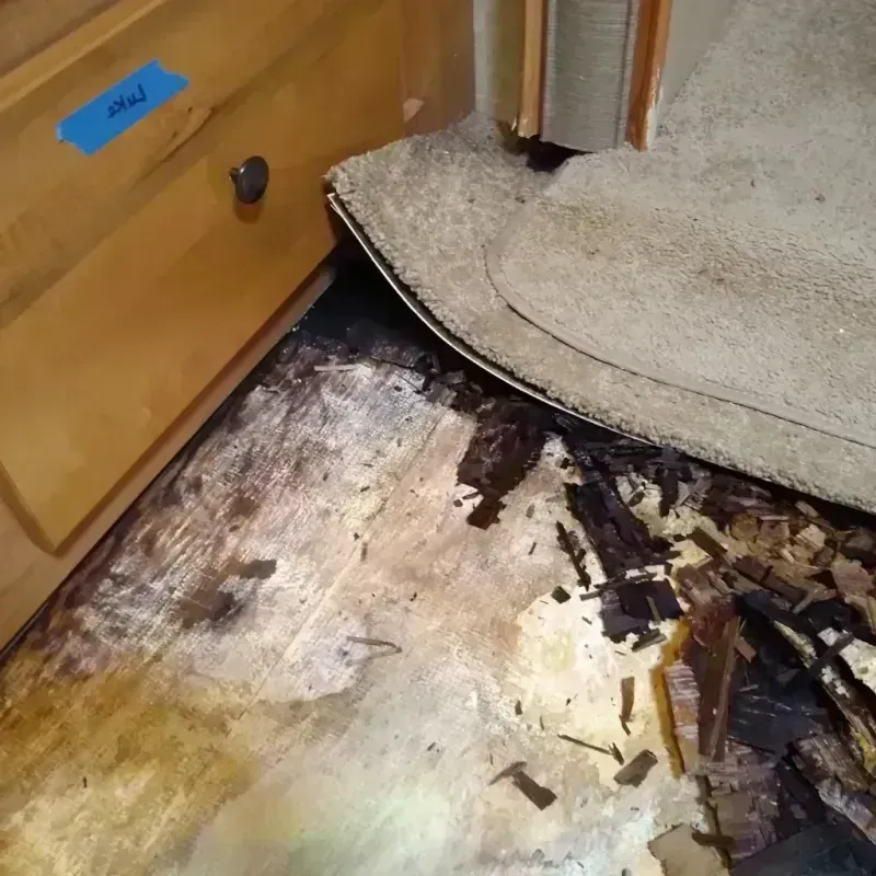 Best Wood Floor Water Damage Service in Savage, MN